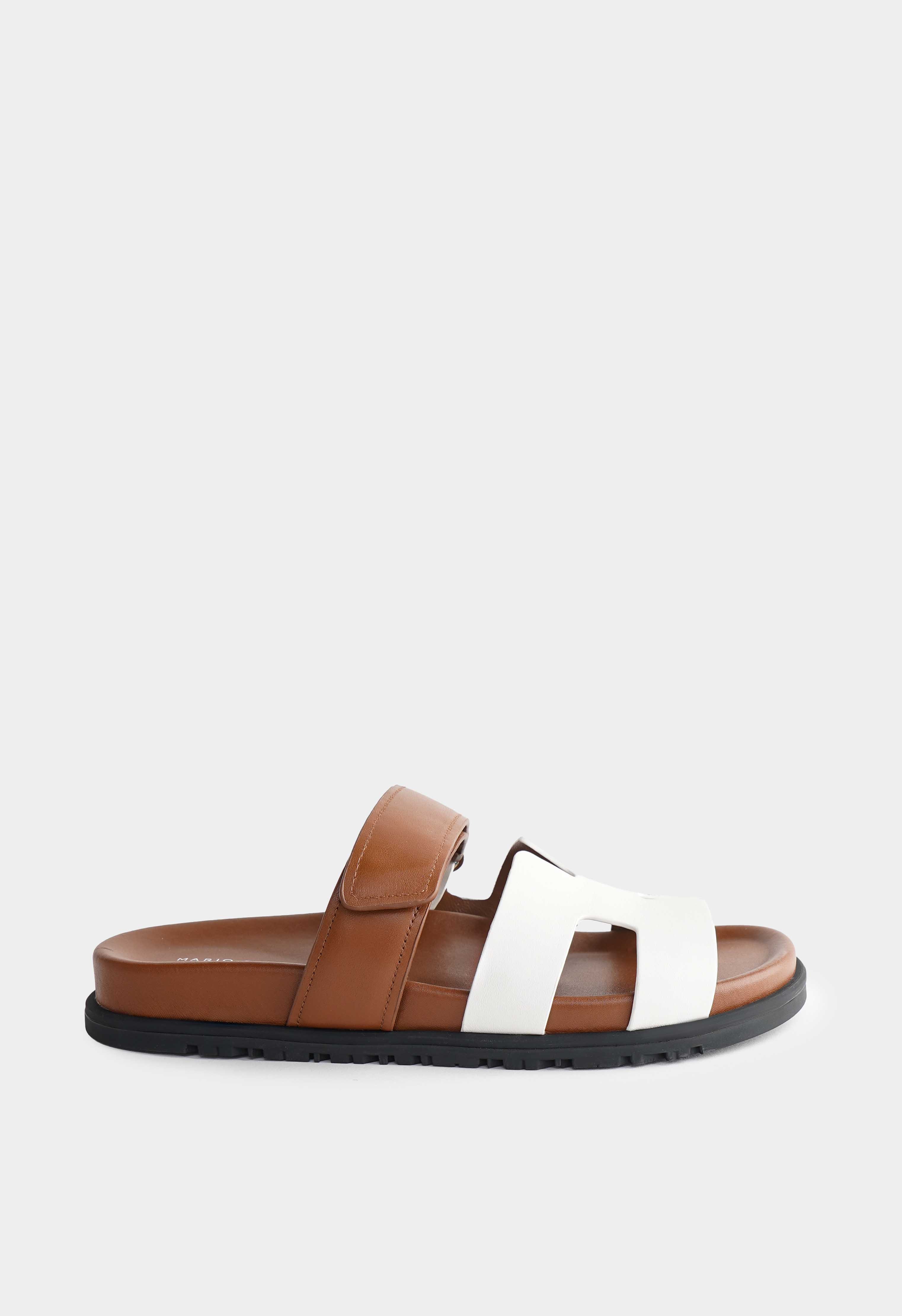 Mario Berlucci 1-J017-241