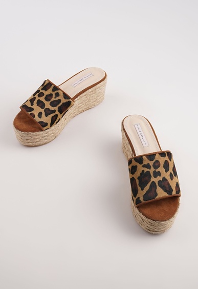 Mario Berluchi  Mario Berluchi