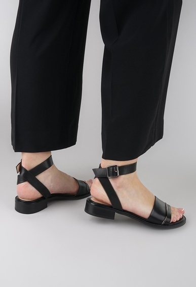 Mario Berlucci Mario Berlucci