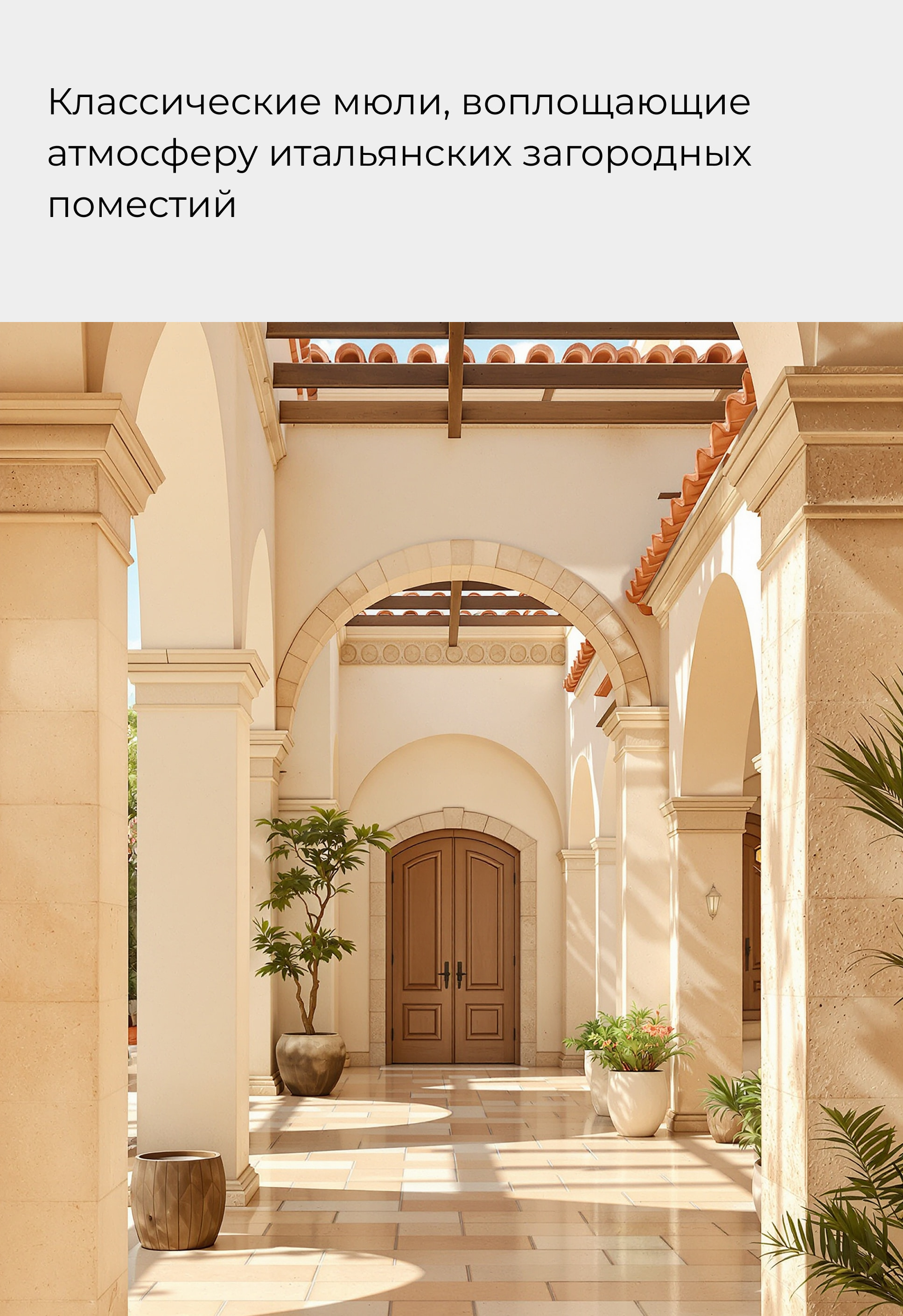 Мюли Mario Berlucci Мюли Mario Berlucci