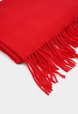 Mario Berlucci Mario Berlucci