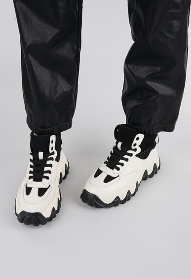 Mario Berlucci Mario Berlucci