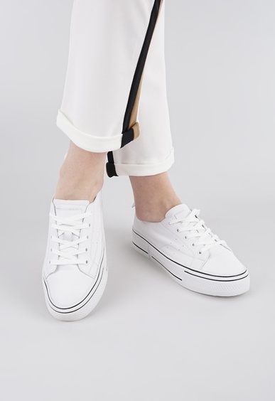 Mario Berlucci Mario Berlucci