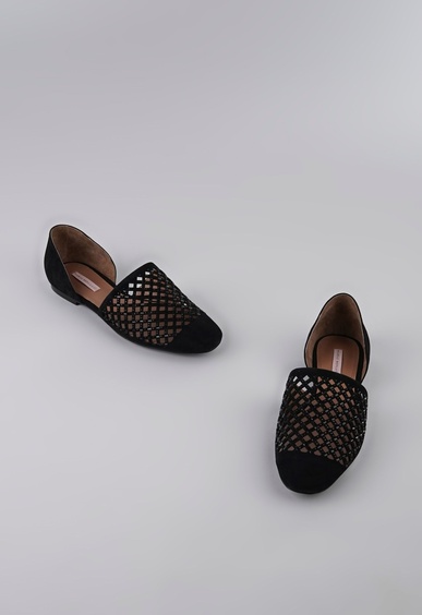 Mario Berlucci  Mario Berlucci