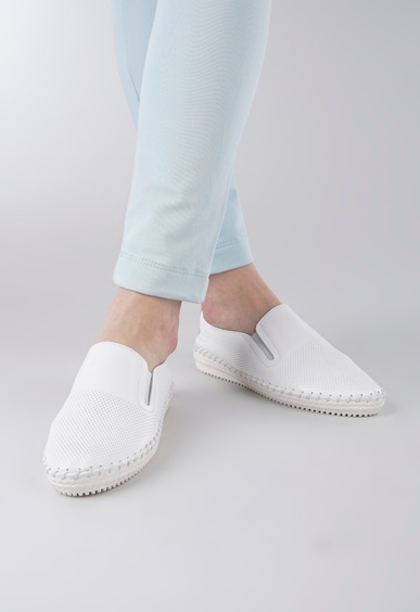 Mario Berlucci Mario Berlucci