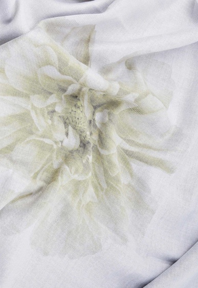 Mario Berlucci Mario Berlucci