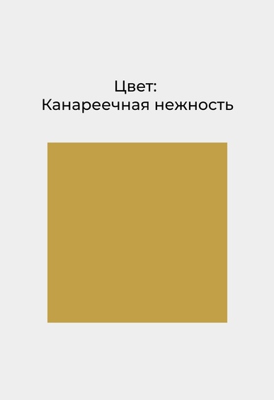 Мокасины Mario Berlucci Мокасины Mario Berlucci