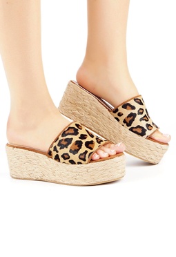 Mario Berluchi  Mario Berluchi