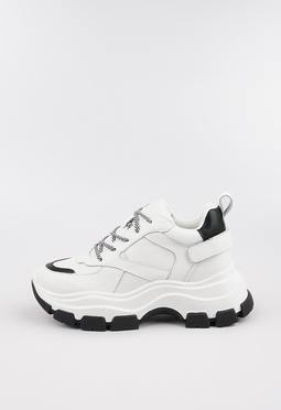 Mario Berlucci  Mario Berlucci