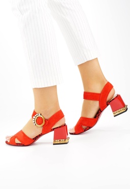 Mario Berlucci Mario Berlucci