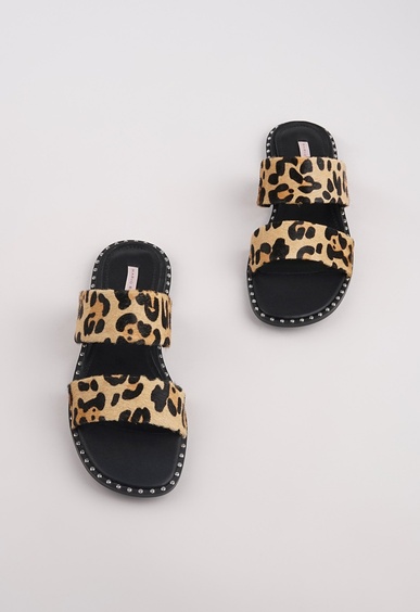 Mario Berlucci Mario Berlucci