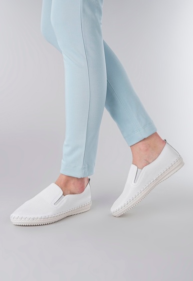 Mario Berlucci Mario Berlucci