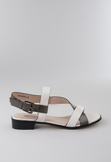 Mario Berlucci Mario Berlucci