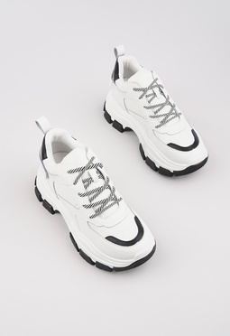 Mario Berlucci  Mario Berlucci