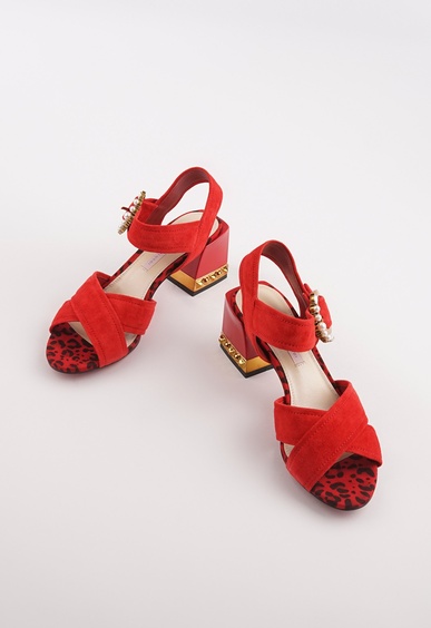 Mario Berlucci Mario Berlucci