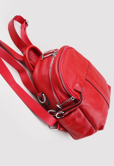 Mario Berlucci Mario Berlucci