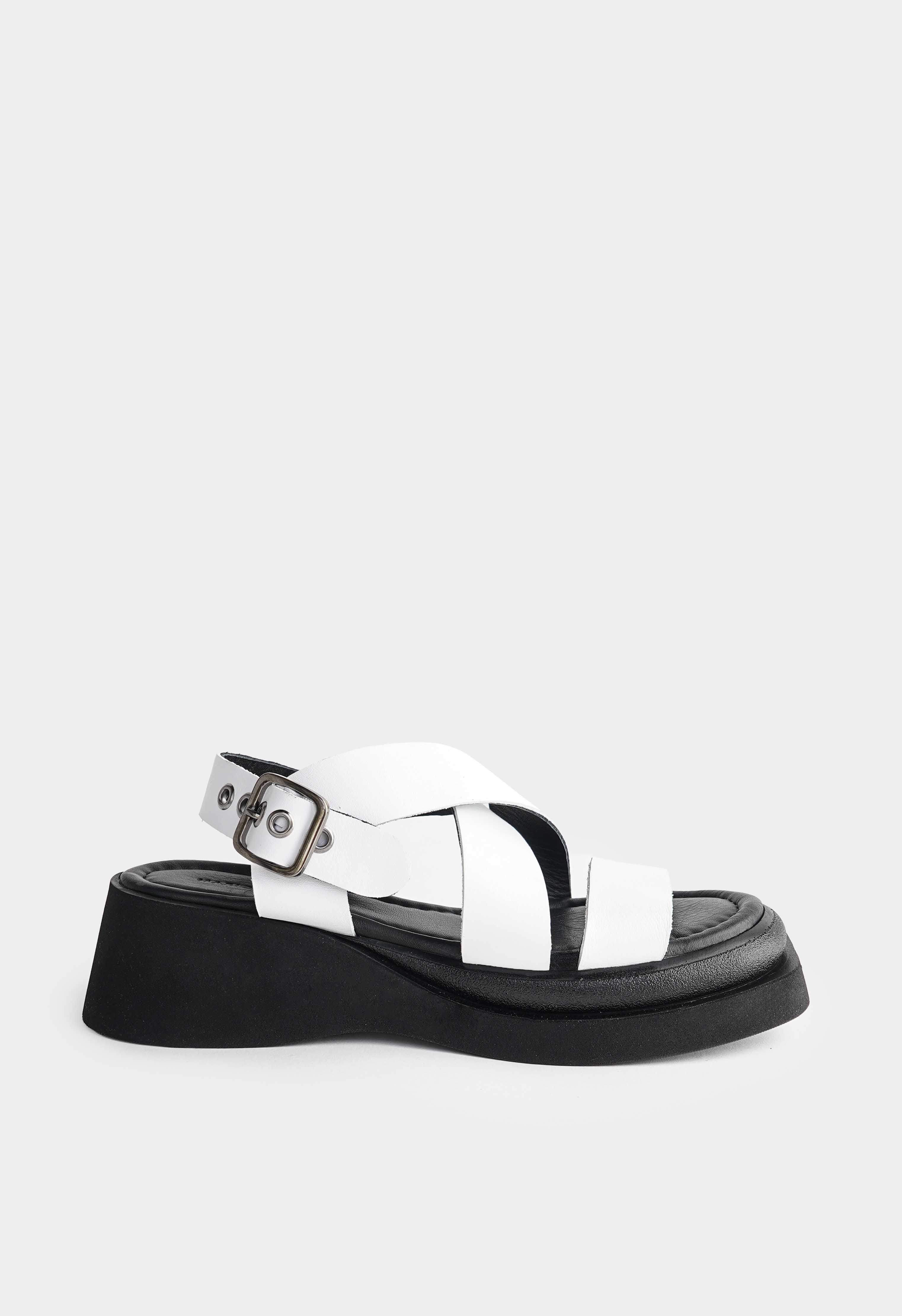 Mario Berlucci 1-J238-25