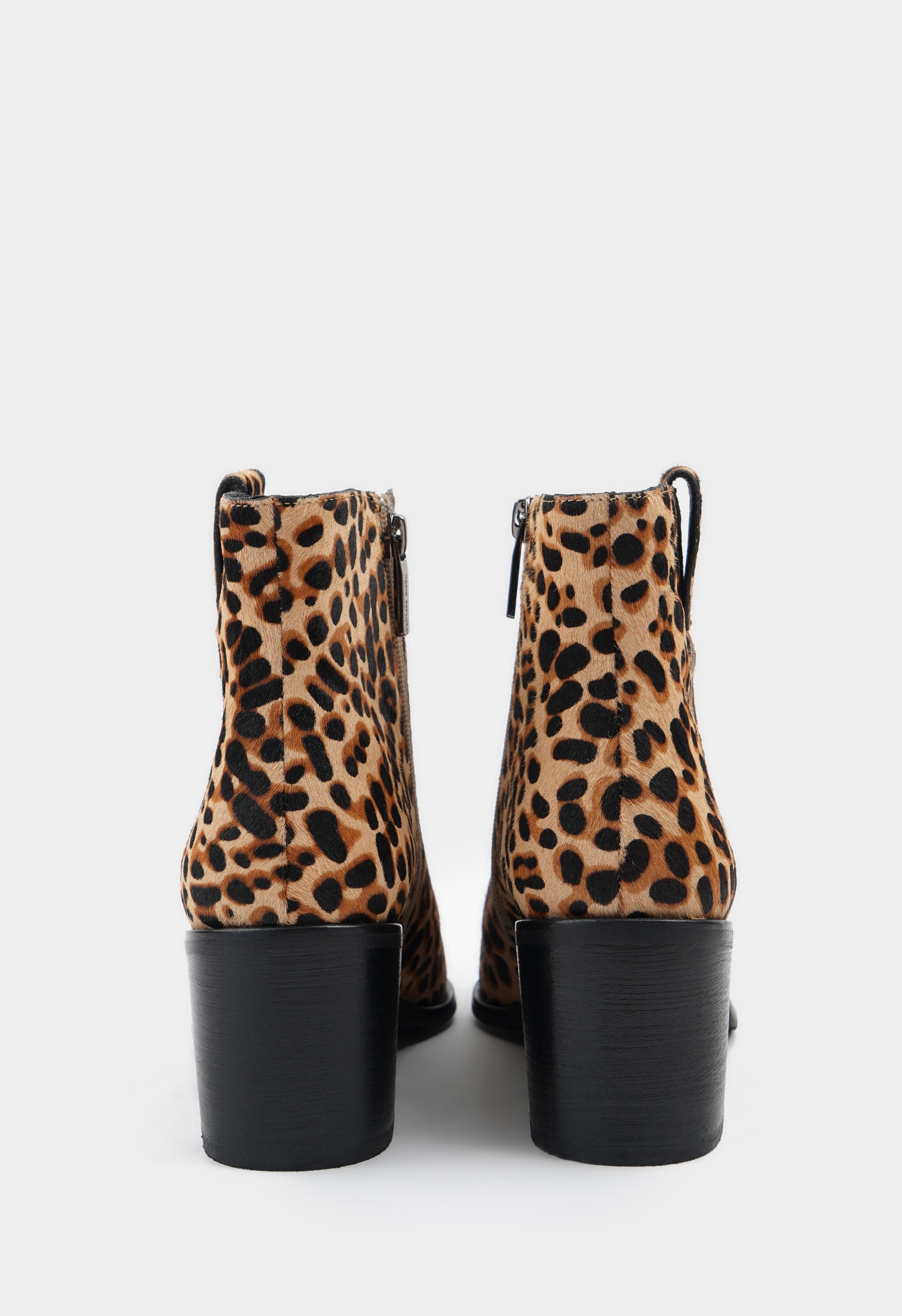 Казаки Mario Berlucci Казаки Mario Berlucci