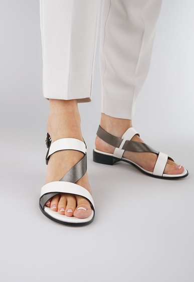 Mario Berlucci Mario Berlucci