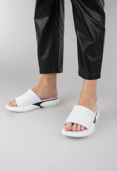 Mario Berlucci Mario Berlucci