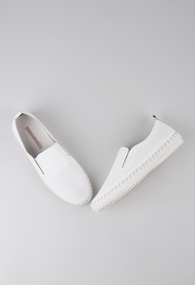 Mario Berlucci Mario Berlucci