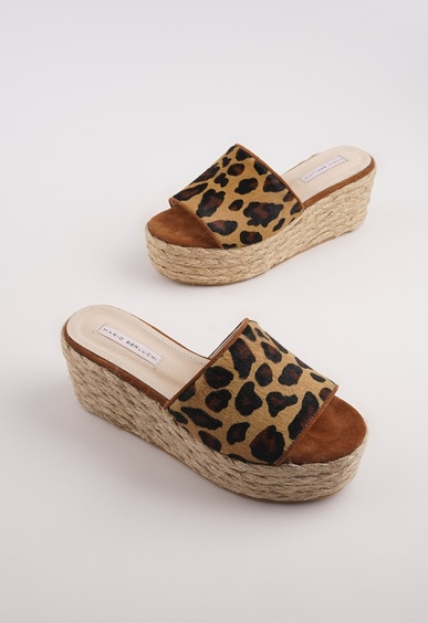 Mario Berluchi  Mario Berluchi