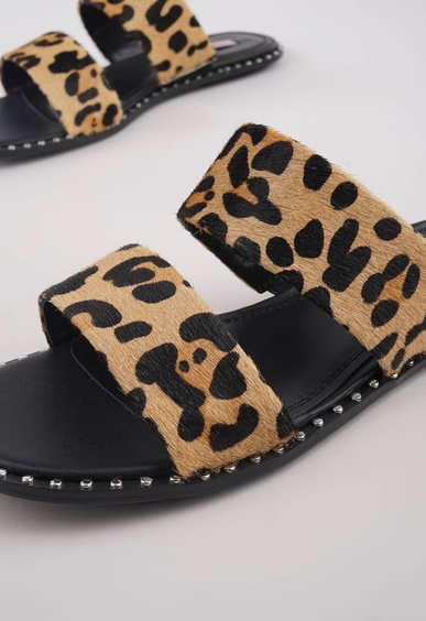 Mario Berlucci Mario Berlucci