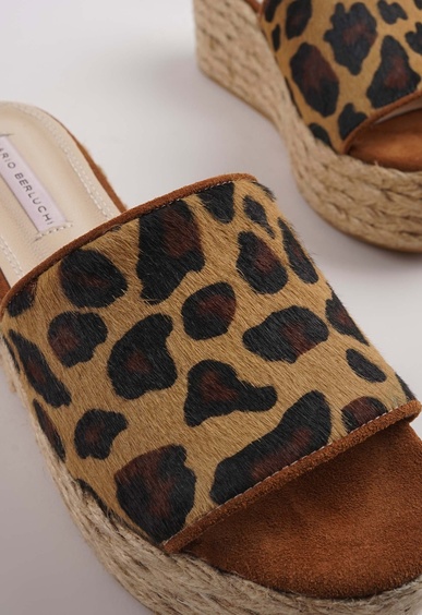 Mario Berluchi  Mario Berluchi