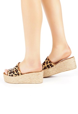 Mario Berluchi  Mario Berluchi