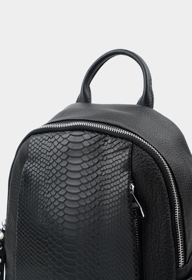 Mario Berlucci Mario Berlucci