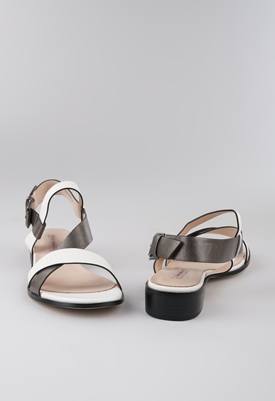 Mario Berlucci Mario Berlucci