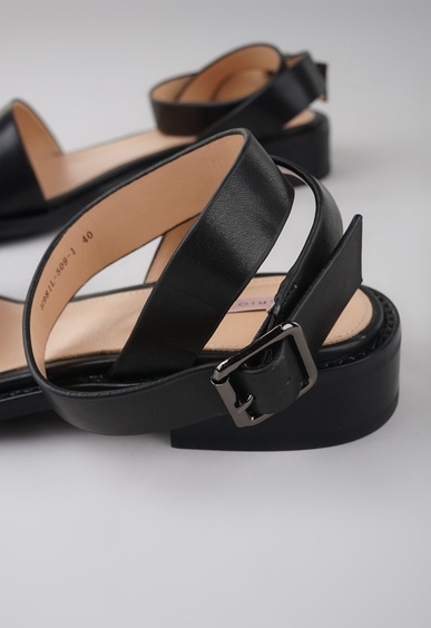 Mario Berlucci Mario Berlucci