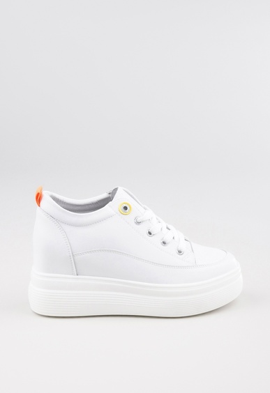 Mario Berlucci Mario Berlucci