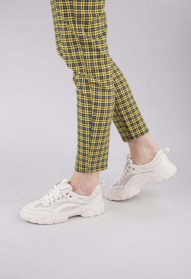 Superioni  Superioni