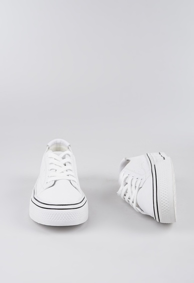 Mario Berlucci Mario Berlucci