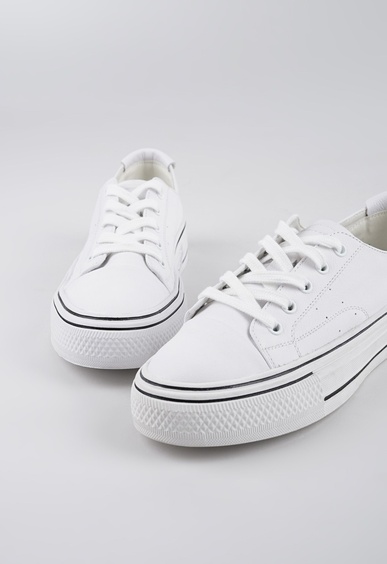 Mario Berlucci Mario Berlucci