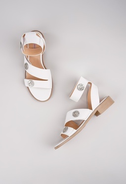 Mario Berlucci Mario Berlucci